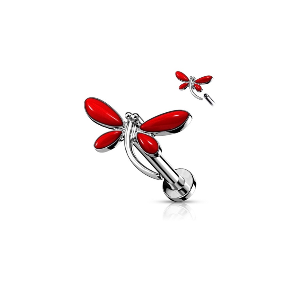 Dragonfly cartilage